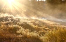 Yellowstone National Park Royalty Free Stock Images Yellowstone National Park Royalty Free Stock Images
