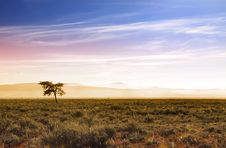 Beautiful Morning Scene In Prairies Stock Images Beautiful Morning Scene In Prairies Stock Images