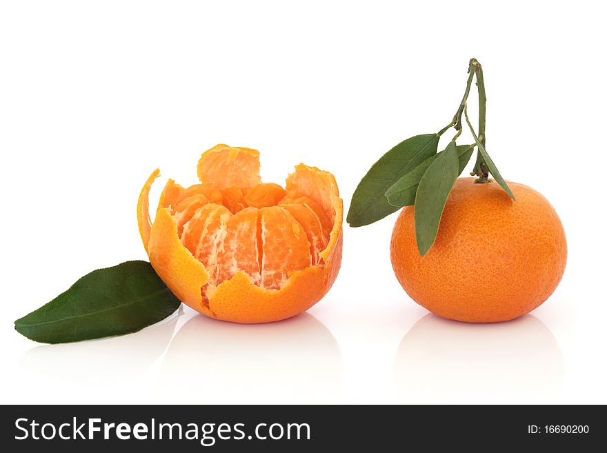 Tangerine Fruit With Leaf Sprig