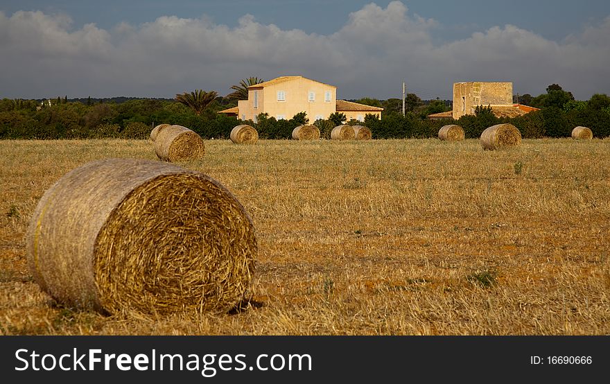 Majorcan Agriculture