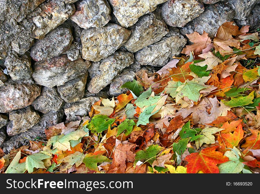 Colorful autumn leaves piled against a stone wall. Colorful autumn leaves piled against a stone wall