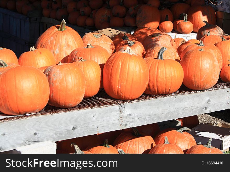 Pumpkins for sale at a market stand