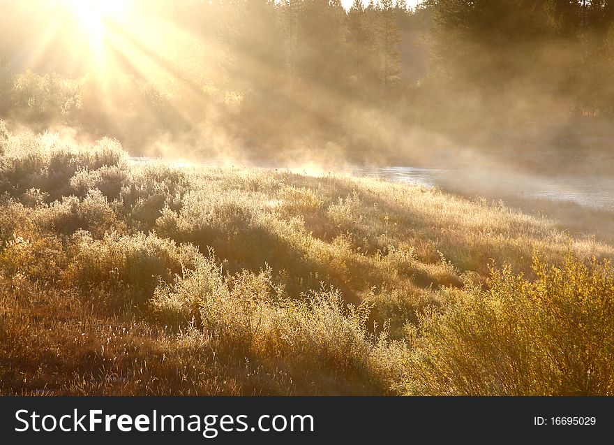 Misty early morning scene in Yellowstone national park