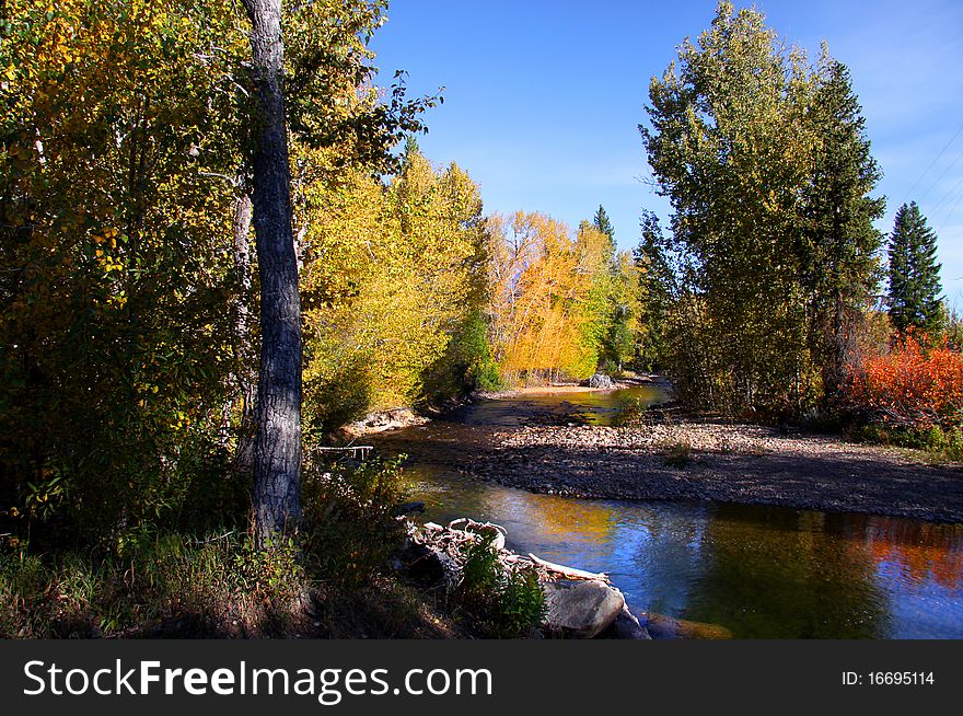 Beautiful stream in a forest in autumn time. Beautiful stream in a forest in autumn time