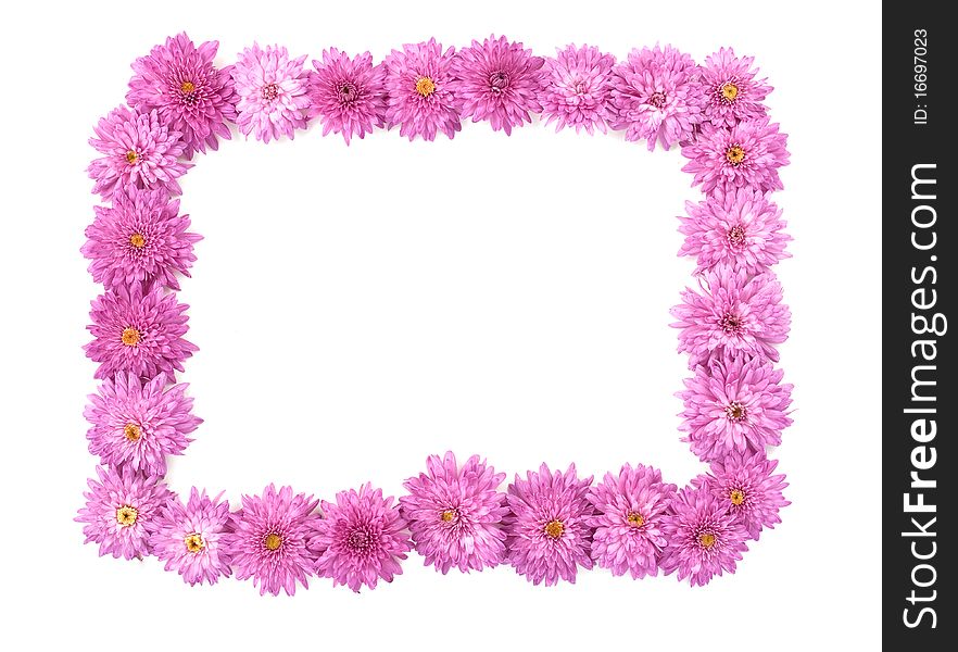 Frame Made Of Chrysanthemum Flowers