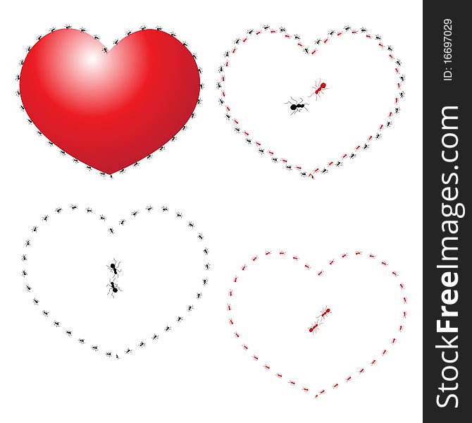 Illustration of heart and ants on white background