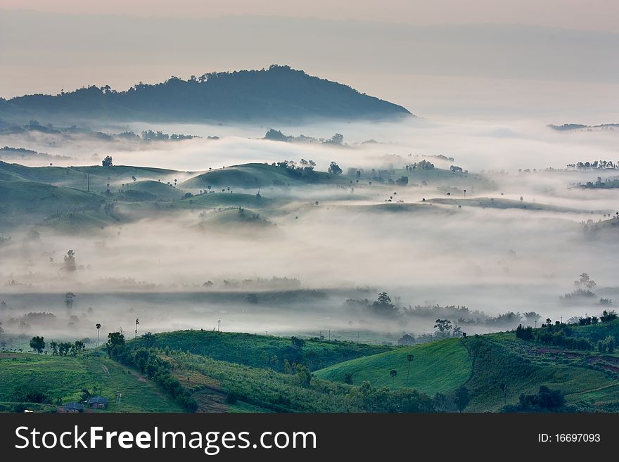 Mountain And Fog