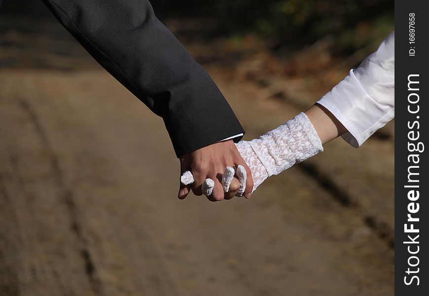 Pair of newlyweds joined hands while walking. Pair of newlyweds joined hands while walking