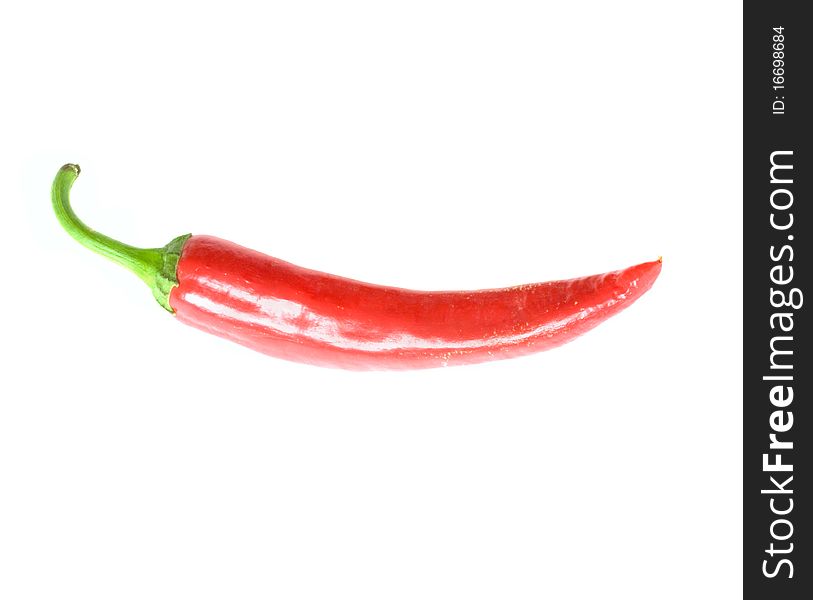 Red chili pepper  on a white background. Red chili pepper  on a white background