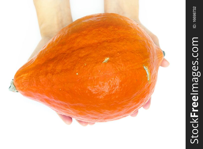Pumpkin in the hands on a white background