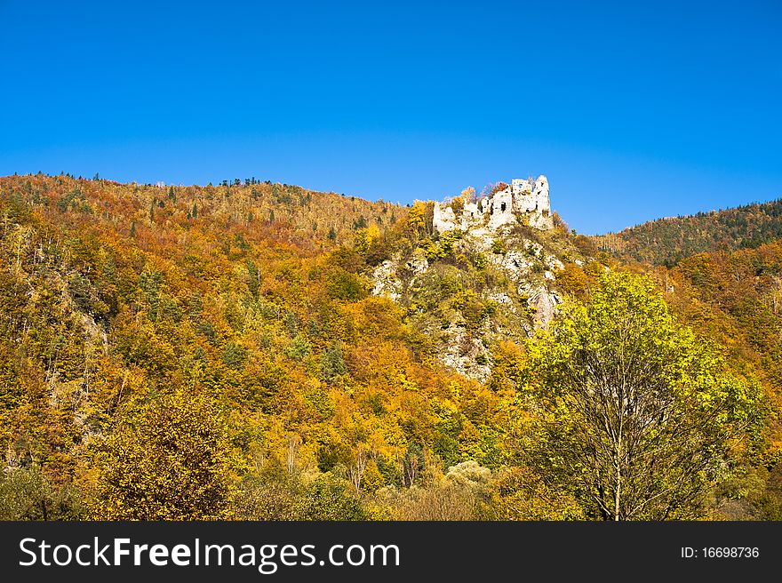 Ruin of a castle and autumn forest