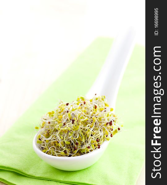 Broccoli Sprouts On Spoon