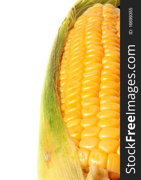 One sweet corn, isolated on a white background