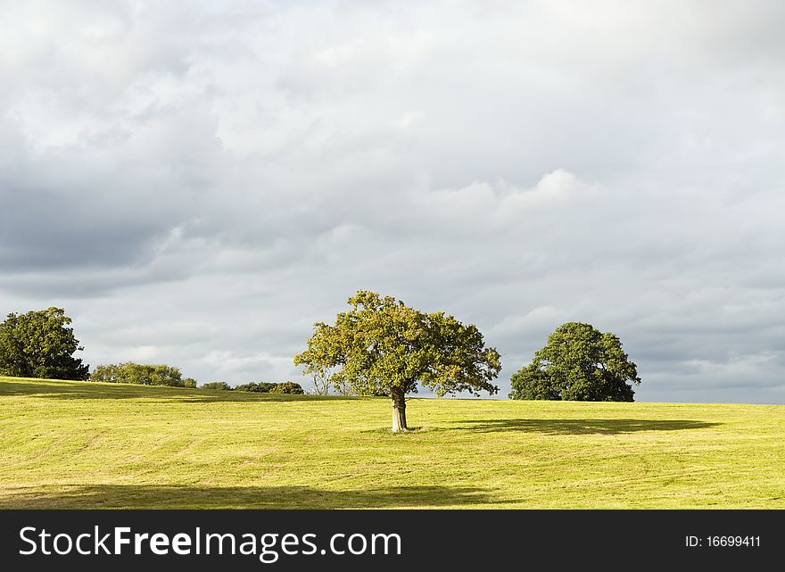 Beautiful countryside landscape photo of a beautiful scenic meadow and trees.