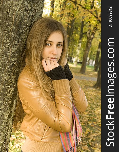 Portrait of a beautiful young woman in autumn park rests on a tree trunk, smiling, looking into the frame. Portrait of a beautiful young woman in autumn park rests on a tree trunk, smiling, looking into the frame