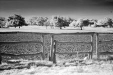 Infrared Scene Stock Photos Infrared Scene Stock Photos