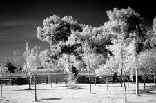 Infrared Scene Stock Images Infrared Scene Stock Images