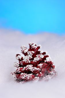 Christmas Pinecone Royalty Free Stock Image Christmas Pinecone Royalty Free Stock Image