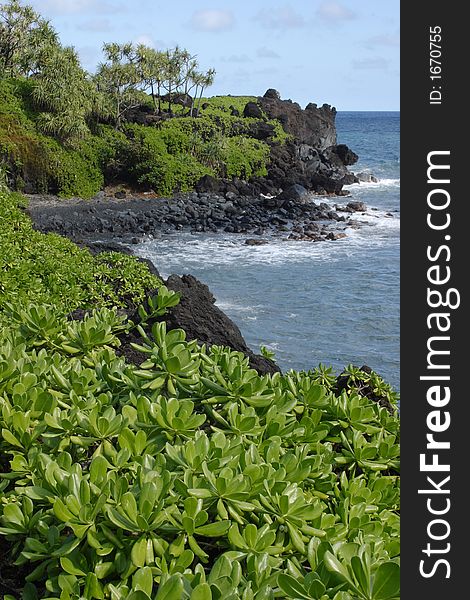 Waianapanapa Coastline