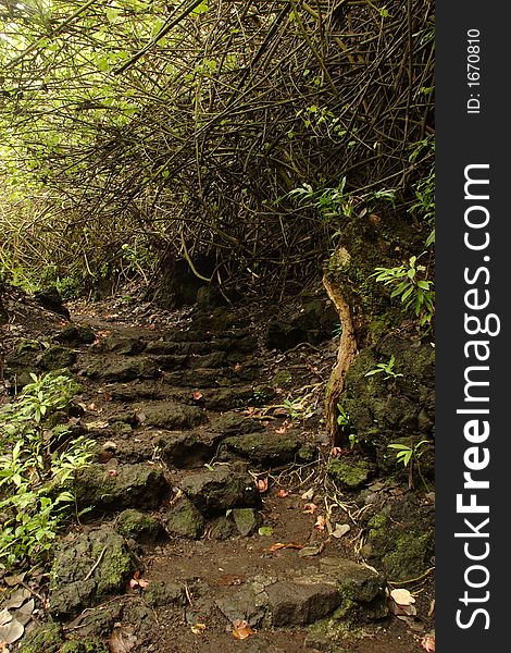 Loop trail at Waianapanapa State Park. Loop trail at Waianapanapa State Park