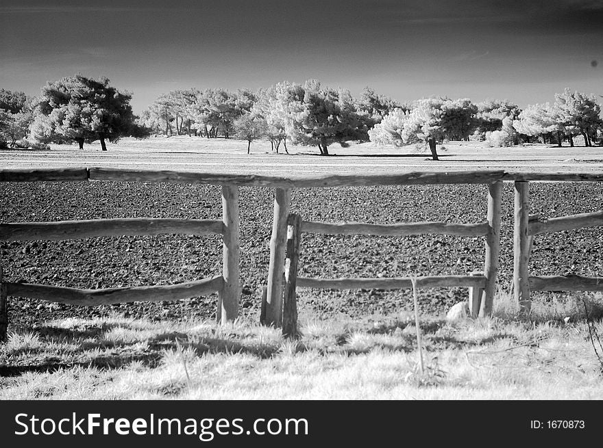 Infrared Scene