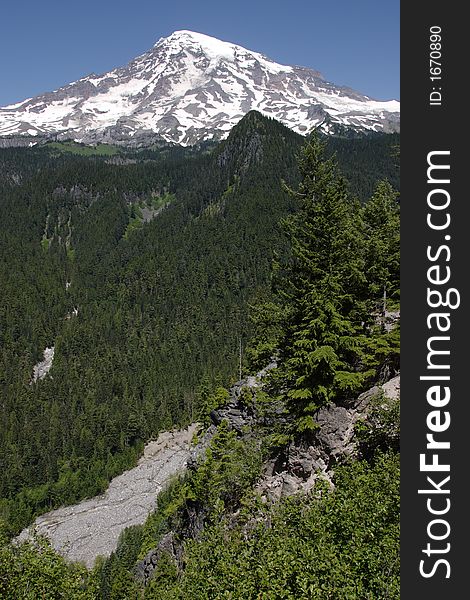 Mount Rainier with trees and mountain stream in the foreground