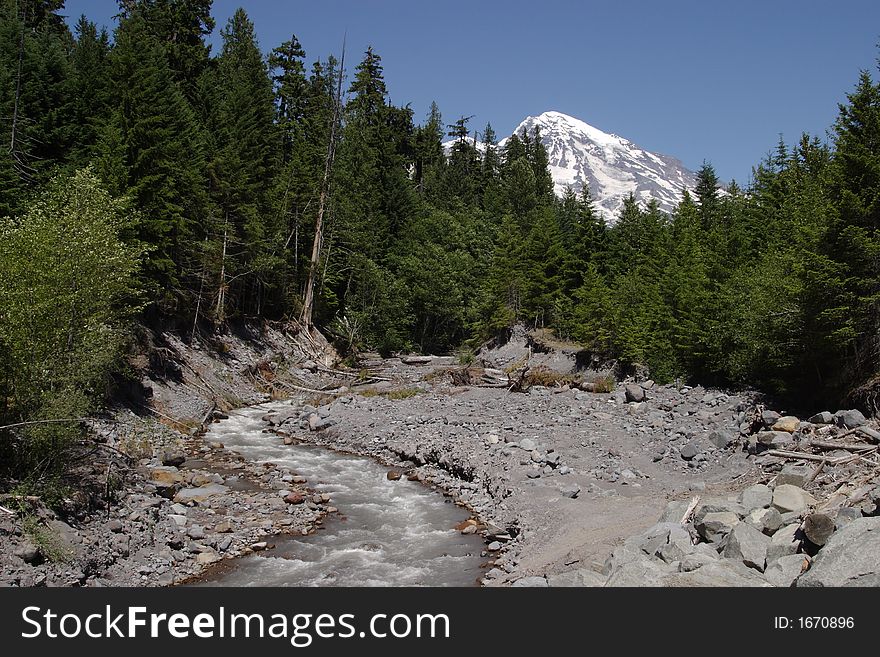Kautz Creek with Mount Rainier in the background