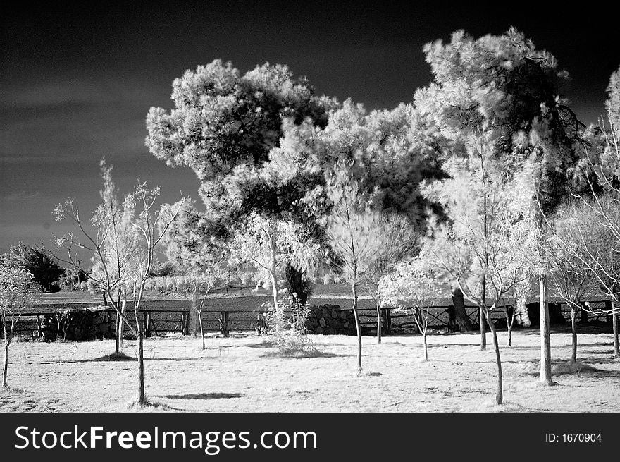 Beautiful infrared scene from Turkiye