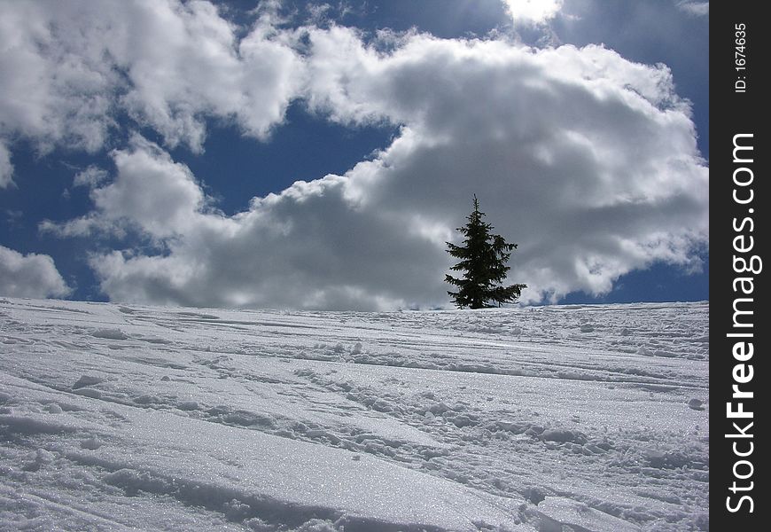 Winter landscape with tree and clouds. Winter landscape with tree and clouds