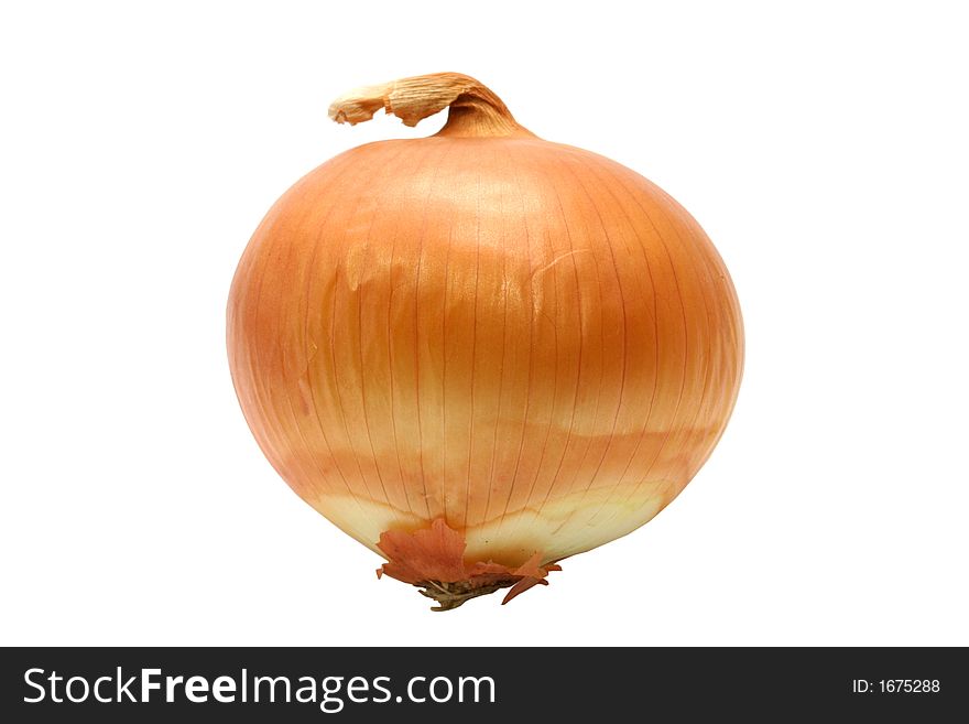 Isolated onion on a white background. Isolated onion on a white background