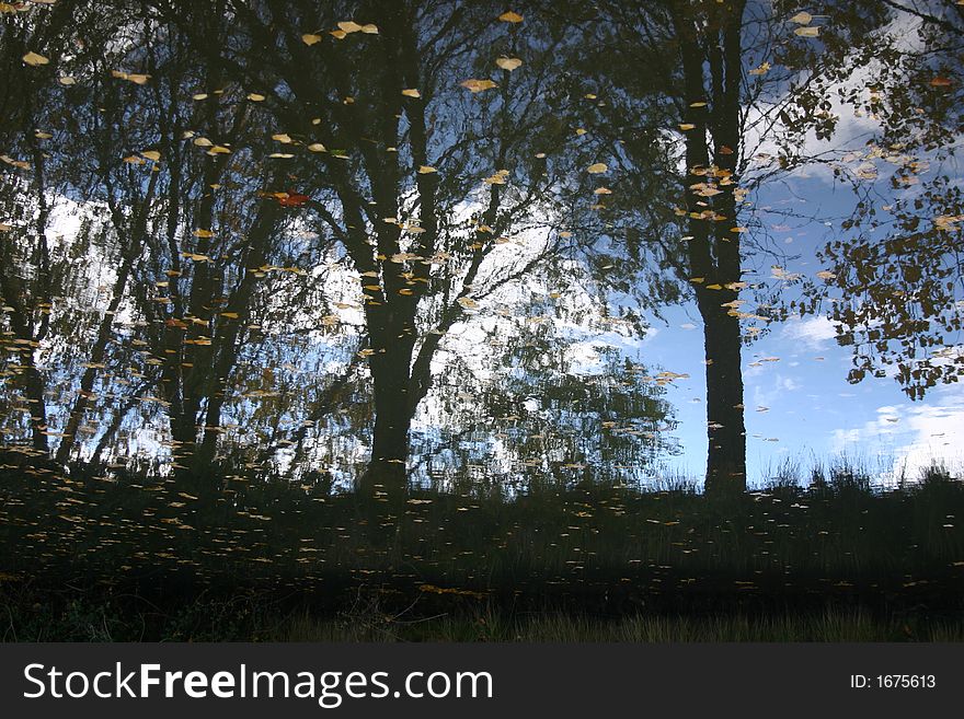 Sky and trees reflected in calm water. Sky and trees reflected in calm water