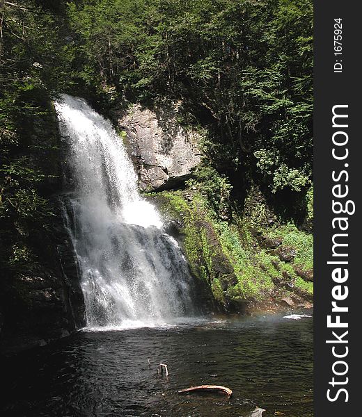 Waterfall Bushkill Falls