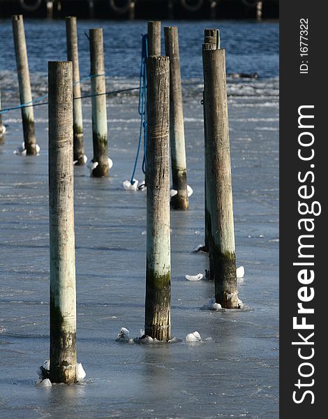Ice  - frozen water and poles in a danish harbor. Ice  - frozen water and poles in a danish harbor
