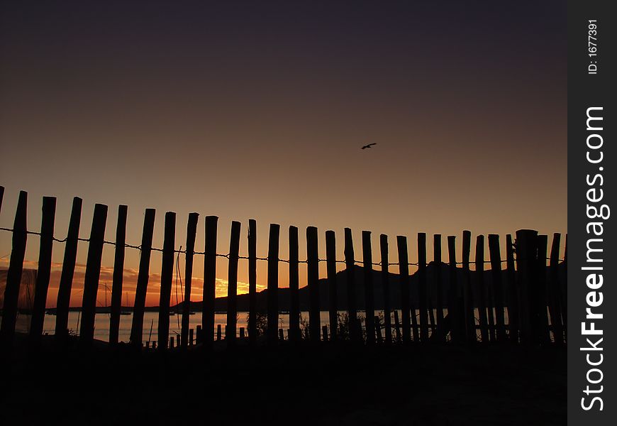 The Calvi bay is one of the most wonderful in the whole Corsica , view over the bay at sunset through a wooden fence, a bird in the sky. The Calvi bay is one of the most wonderful in the whole Corsica , view over the bay at sunset through a wooden fence, a bird in the sky