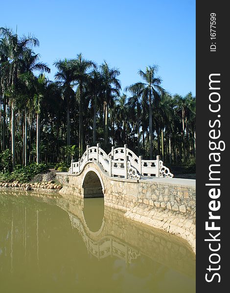 Landscape of arch bridge,palm trees and lake