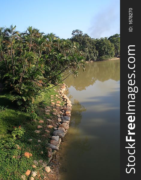 Landscape of lakeside with palm trees and rocks