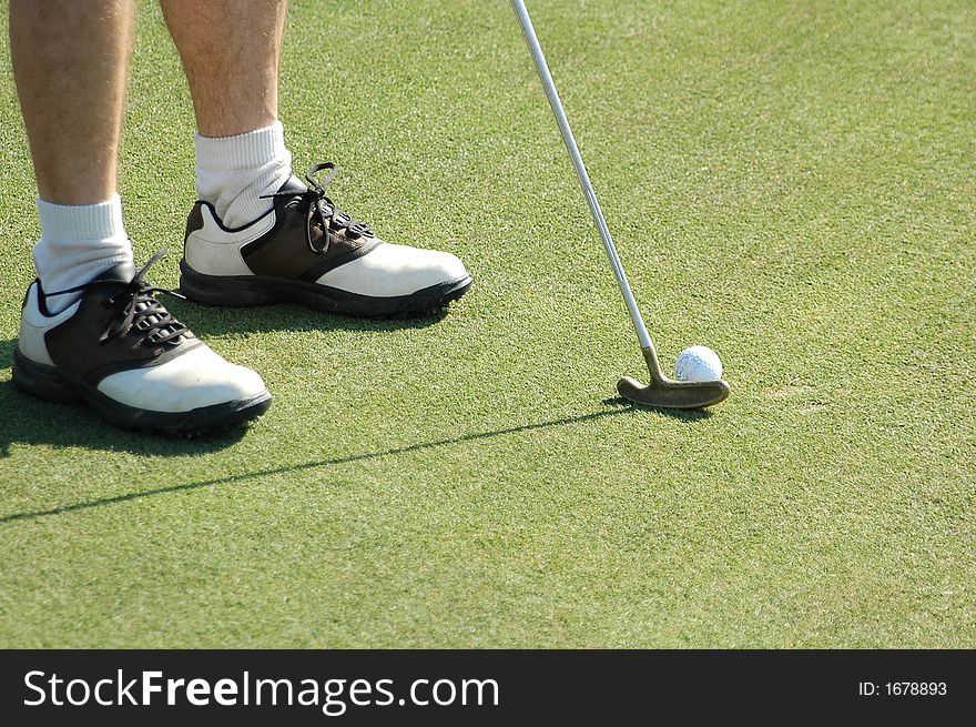 Photographed at local golf course in Georgia.