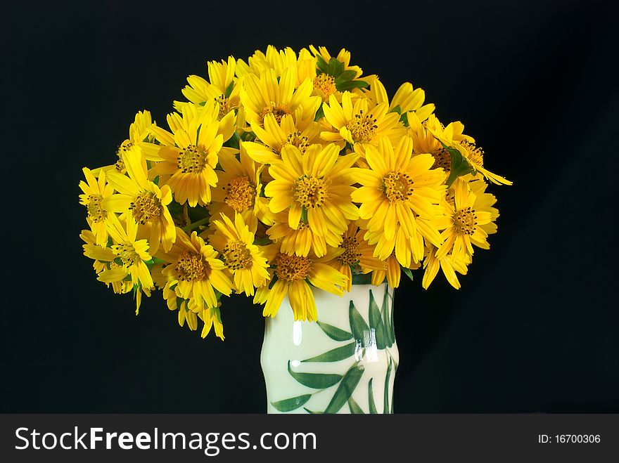 Yellow daisy in a vase. Yellow daisy in a vase