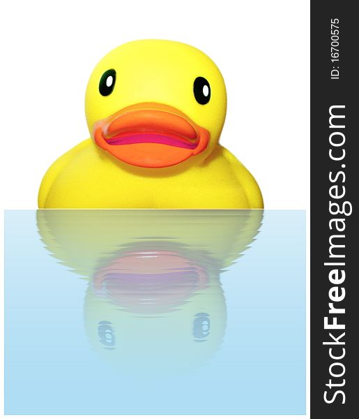 Surprised Rubber Ducky