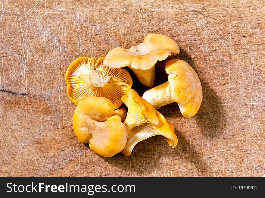 Delicious chanterelle mushrooms ready to cook