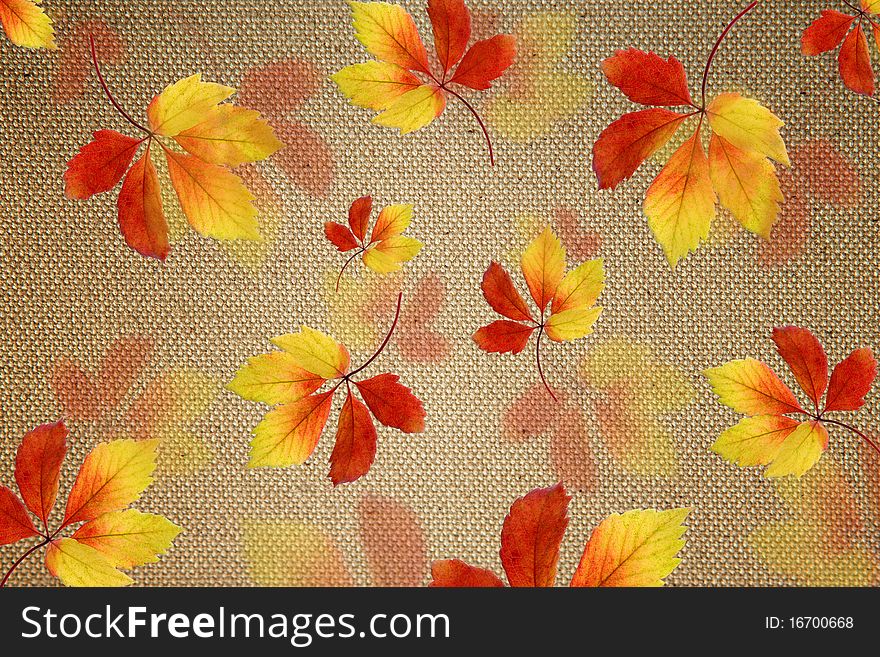 Yellow leaves on the background texture. Yellow leaves on the background texture