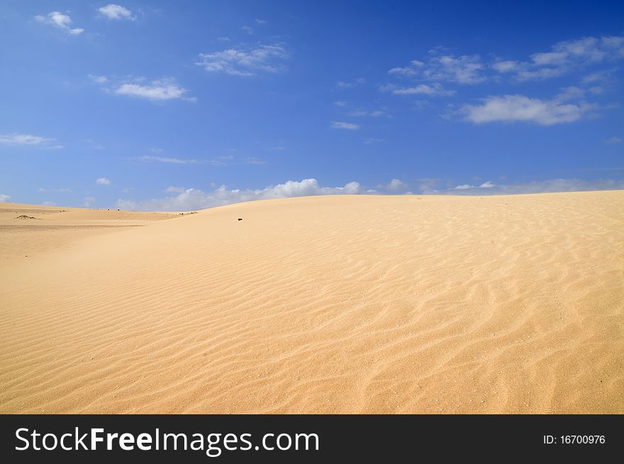 Sand of the Desert of sahara. Sand of the Desert of sahara