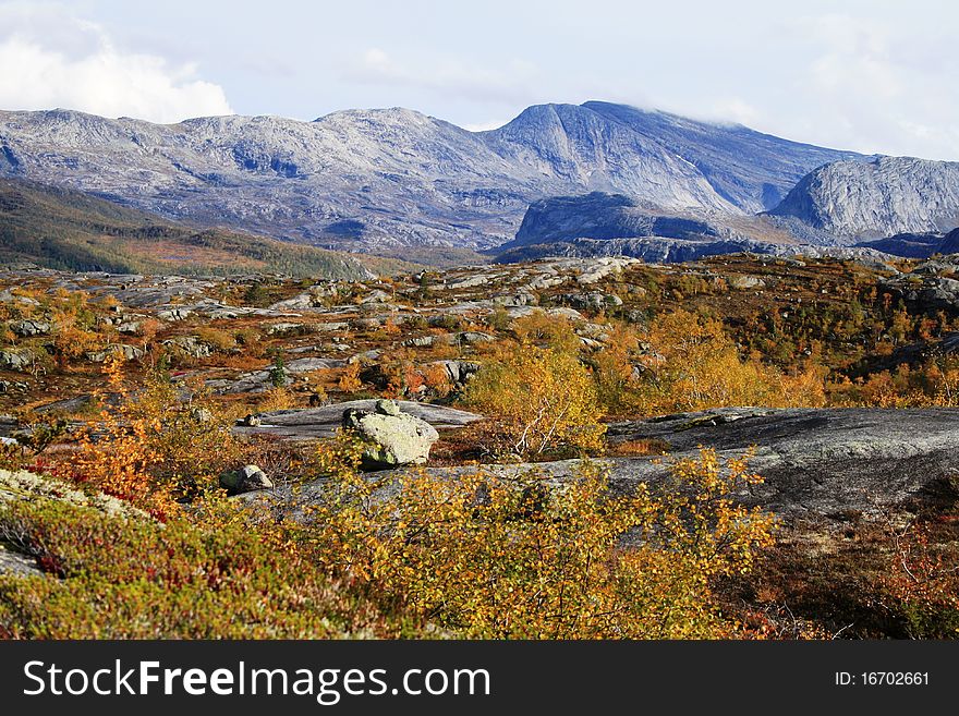 Tourism in national parks Rago, Norway. Tourism in national parks Rago, Norway