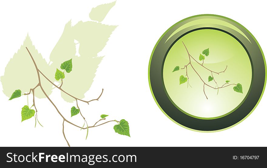 Button with sprig of birch. Illustration