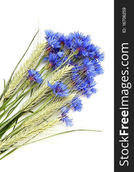 Cornflowers and cereals