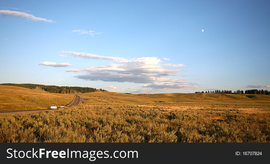 Road crossing grassland in yellow stone national park. Road crossing grassland in yellow stone national park