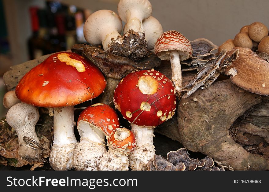 Mushrooms in a market in london