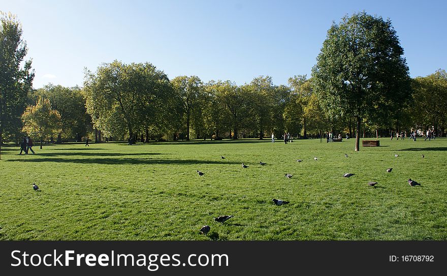 The photo shows one of the most famous parks in london. The photo shows one of the most famous parks in london.