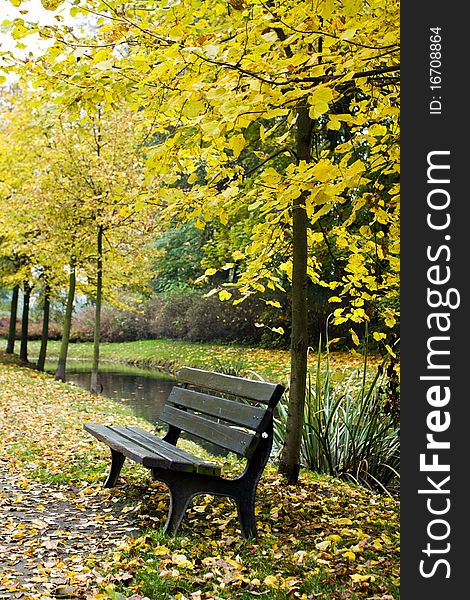 Bench In Autumn Forest