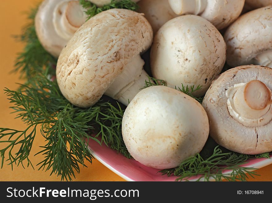 Mushrooms on a platter among sprigs of dill